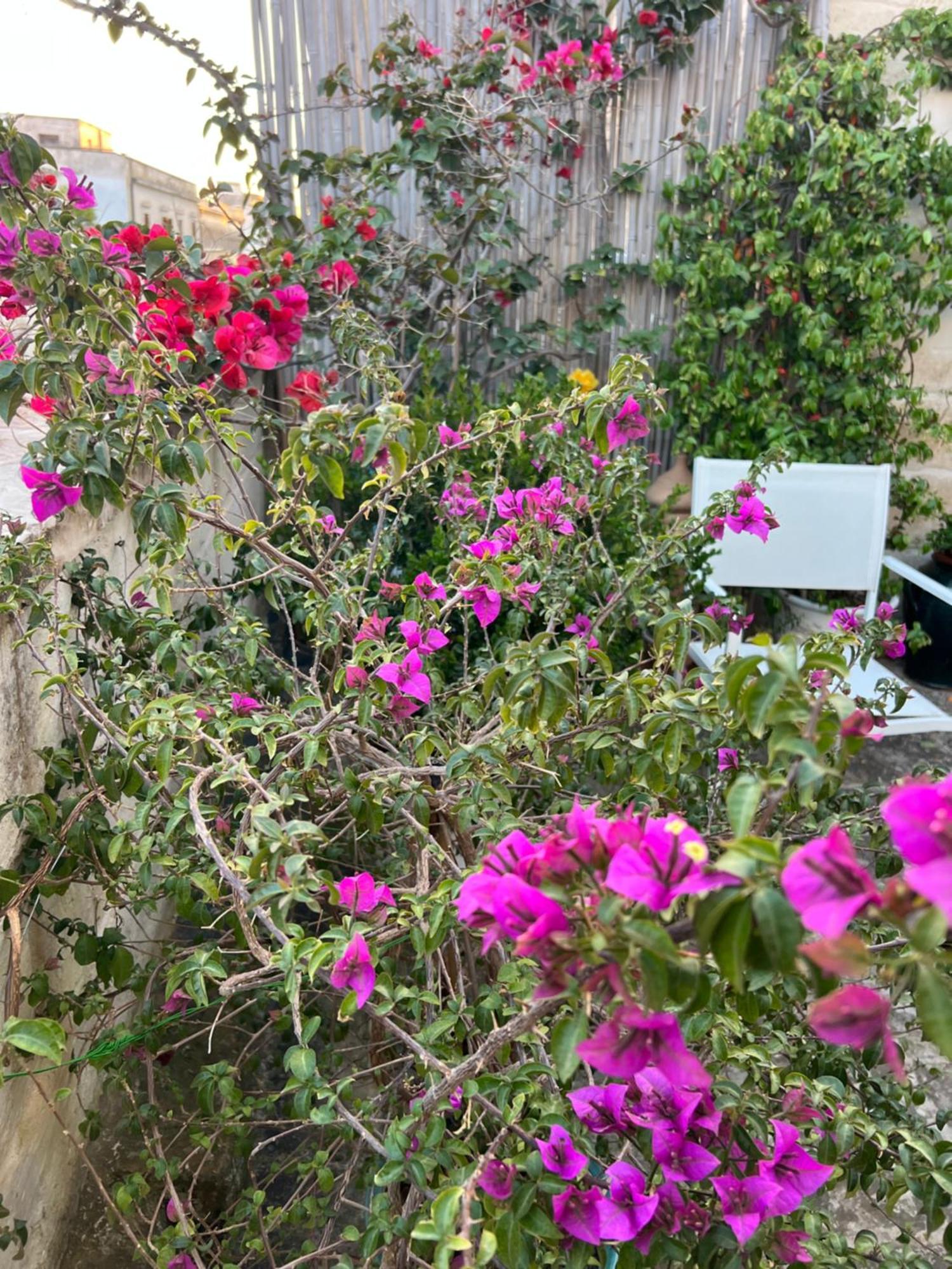 Suite Battisti 7 Lecce Exterior foto